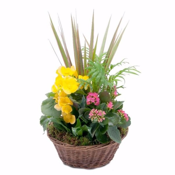 arrangement