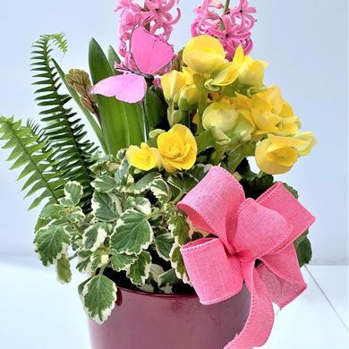 Arrangement Beauté printemps