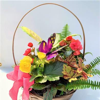 Arrangement Basket