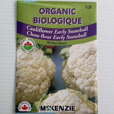 Cauliflower Early Snowball ORGANIC