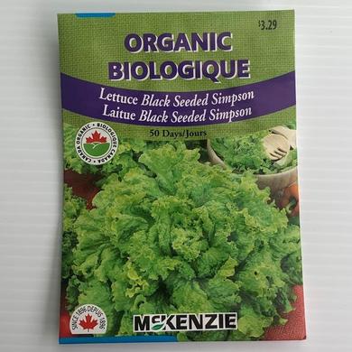 Lettuce Black Seeded Simpson ORGANIC