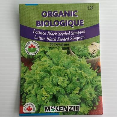 Laitue Salad Bowl BIOLOGIQUE