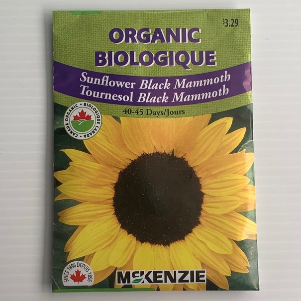 Sunflower Black Mammoth ORGANIC