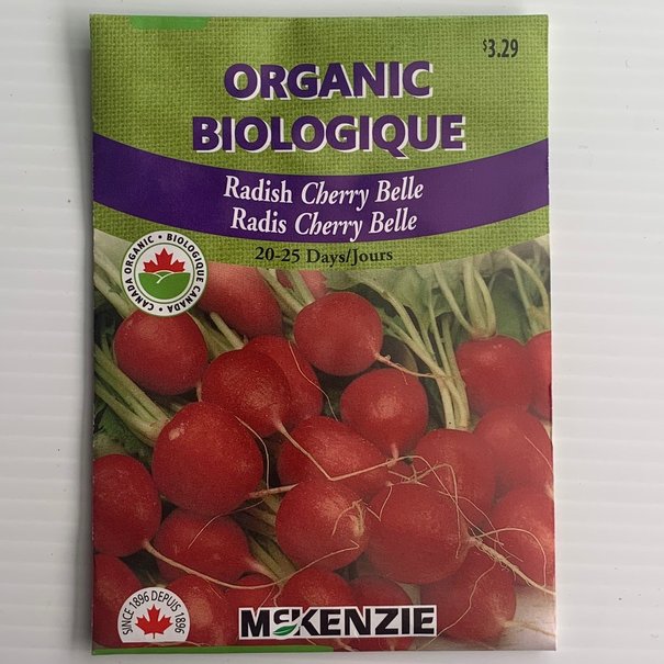 Radish Cherry Belle ORGANIC