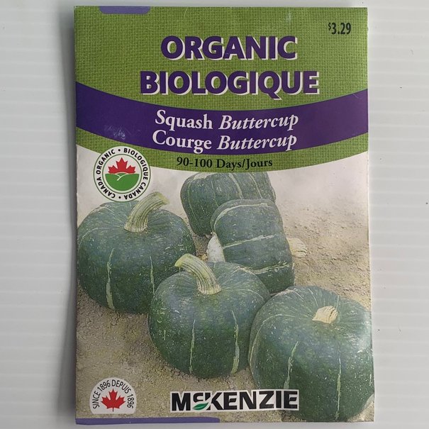 Courge Buttercup BIOLOGIQUE