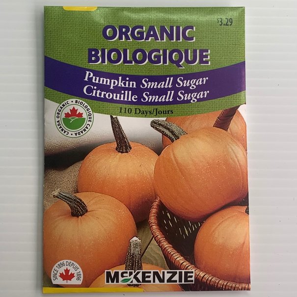 Pumpkin Small Sugar ORGANIC