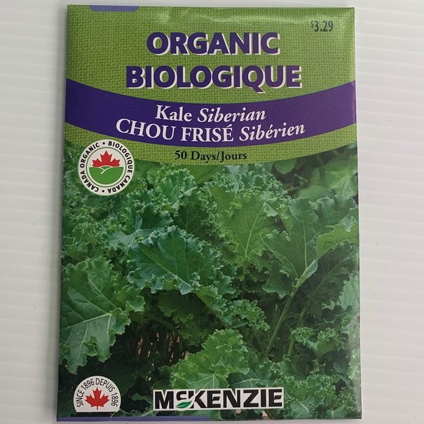 Chou Frisé Sibérien BIOLOGIQUE