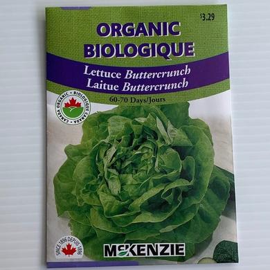 Lettuce Buttercrunch ORGANIC