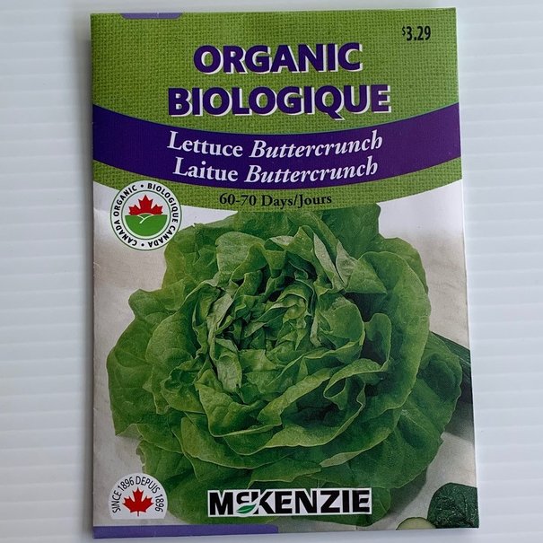 Lettuce Buttercrunch ORGANIC