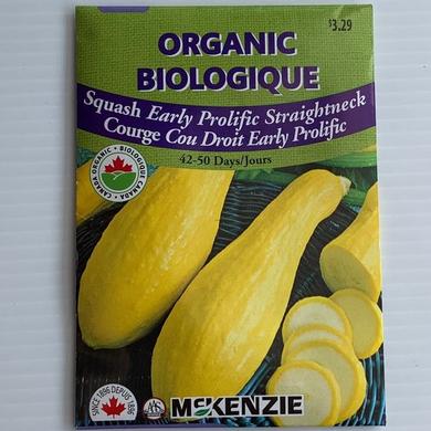 Squash Early Prolific Straightneck ORGANIC