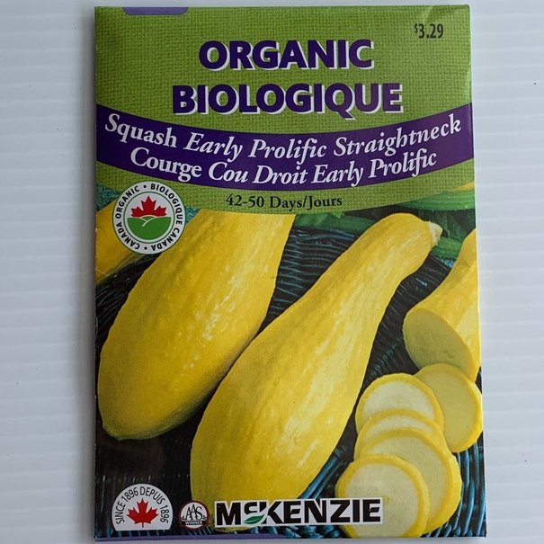 Courge Cou Droit Early Prolific BIOLOGIQUE