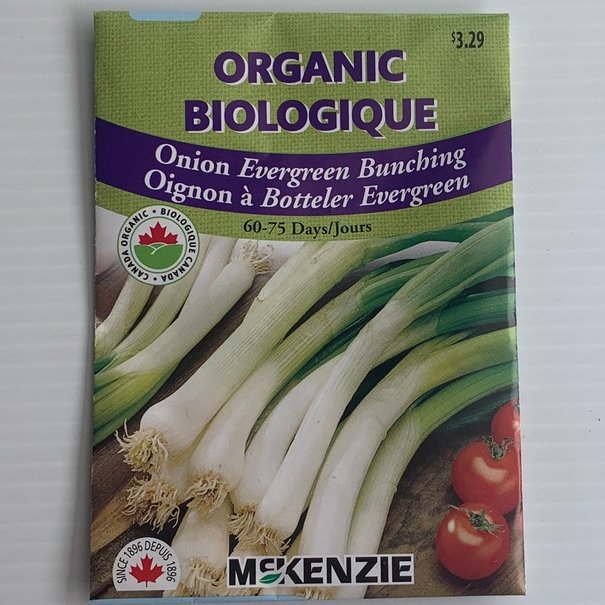 Oignon à Botteler Evergreen BIOLOGIQUE