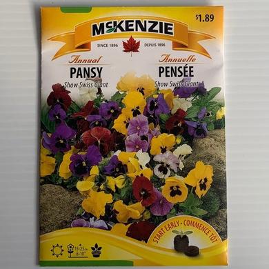 Pensée Show Swiss Giant