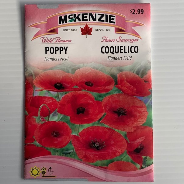 Coquelico Flanders Field