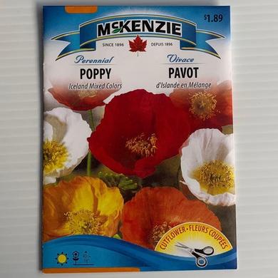 Poppy Iceland Mixed Colors