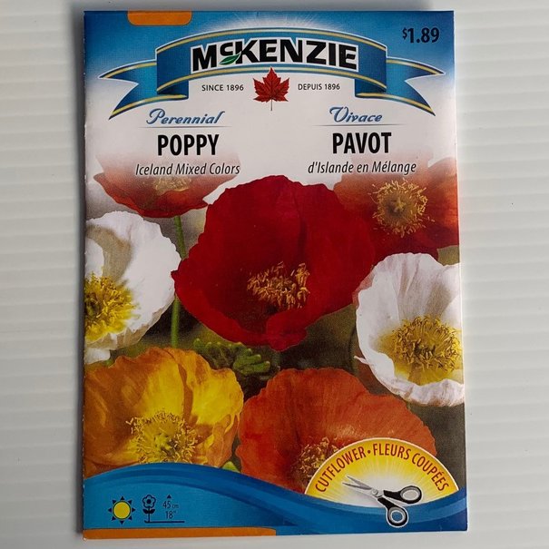 Pavot d'Islande en mélange