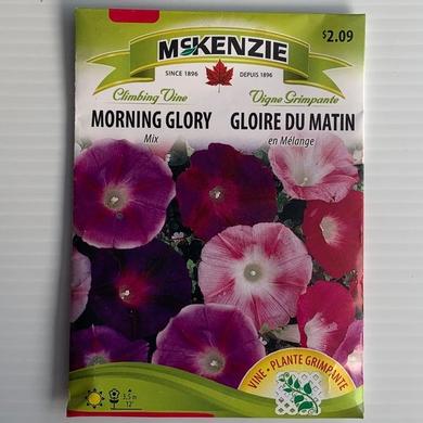 Morning Glory Mix