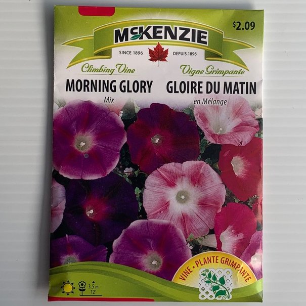 Morning Glory Mix