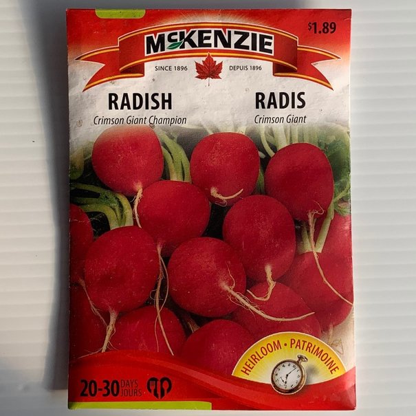 Radis Cherry Belle