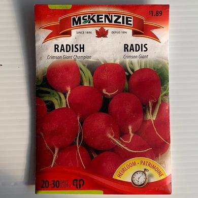 Radish Crimson Giant Champion