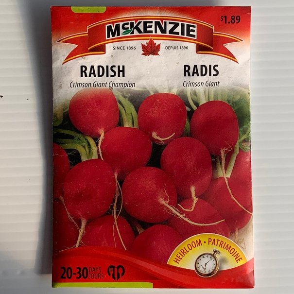 Radish Crimson Giant Champion