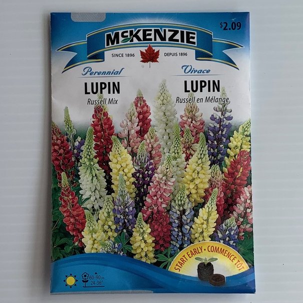 Lupin Russell en Mélange