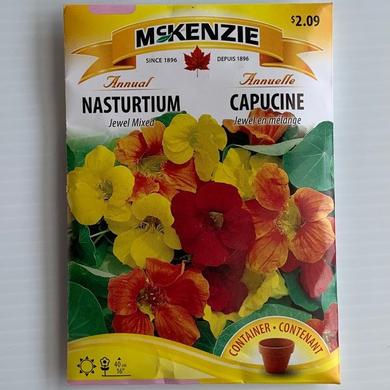 Nasturtium Jewel Mixed