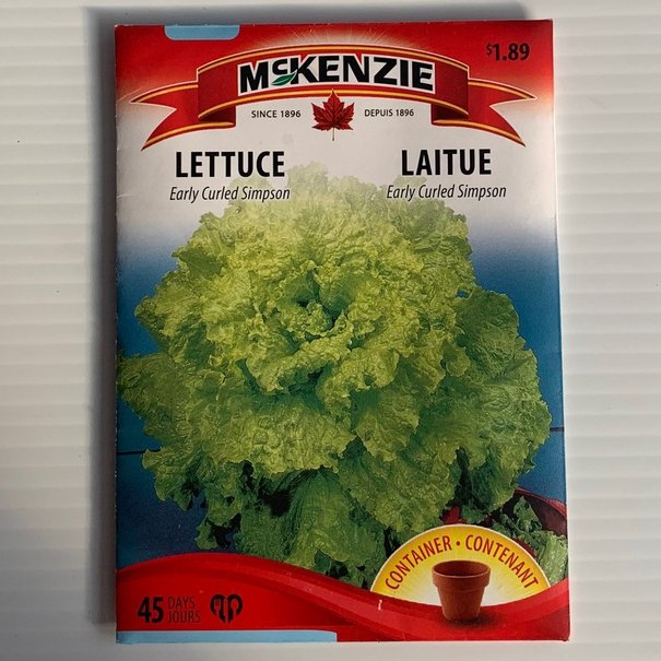 Laitue Early Curled Simpson