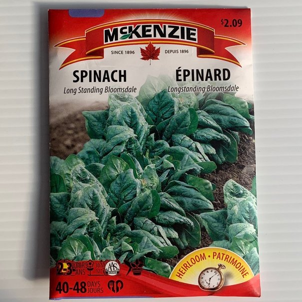 Épinard Long Standing Bloomsdale