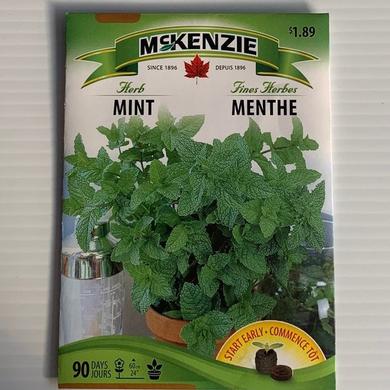 Menthe