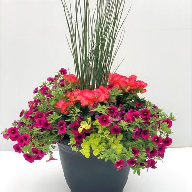 Arrangement