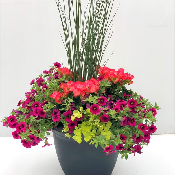 Arrangement