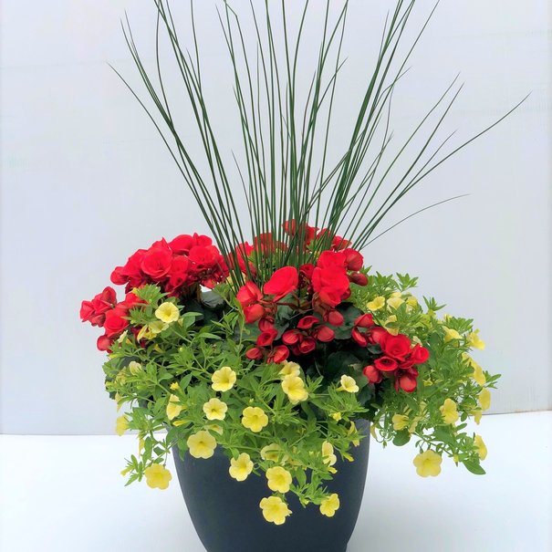 Arrangement