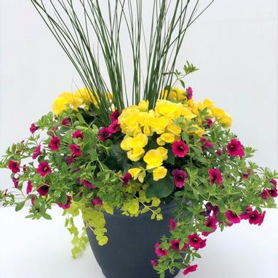 Arrangement