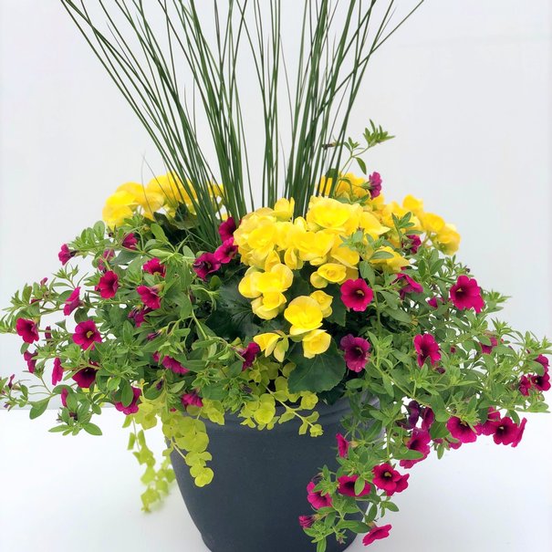 Arrangement