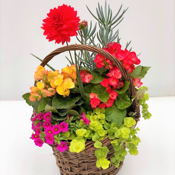 Arrangement wicker basket