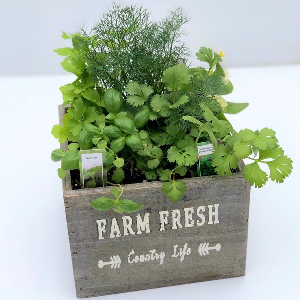 Fresh-Herbs arrangement