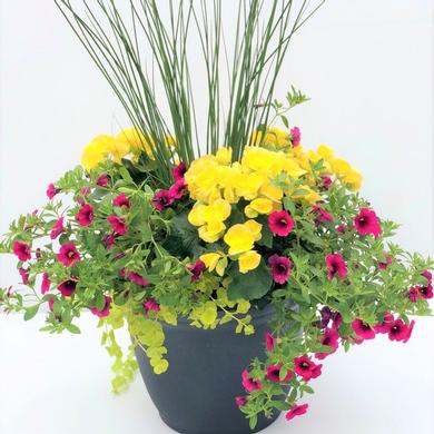 Arrangement
