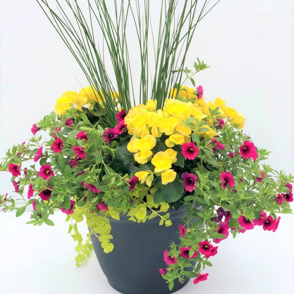 Arrangement