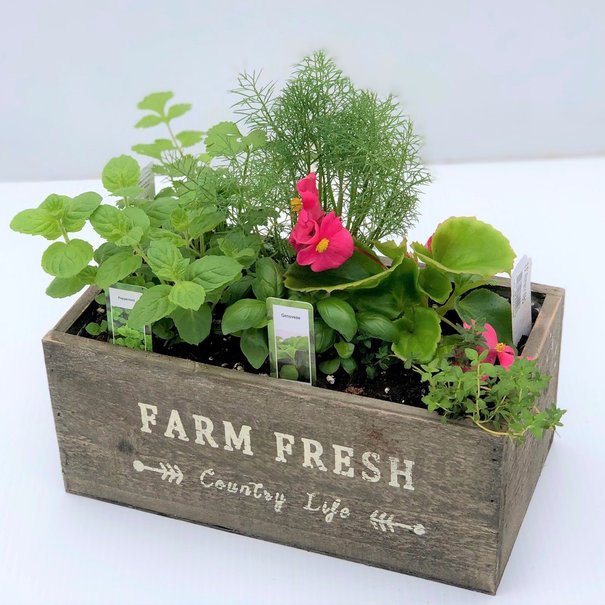 Arrangement fines-herbes