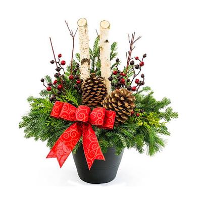 Christmas three arrangement à partir de $69.99