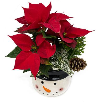 Christmas Arrangement - Poinsettia and Snowman