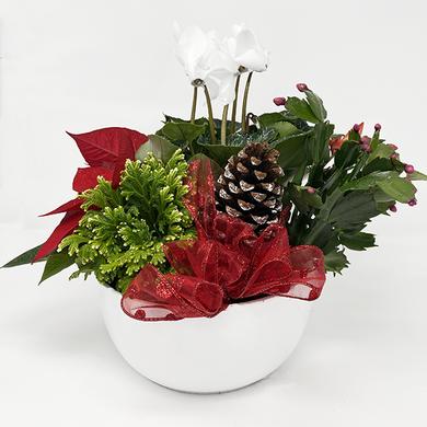 Arrangement de Noël festif blanc