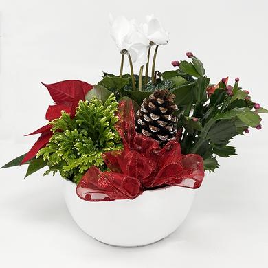 Christmas Festive White arrangement