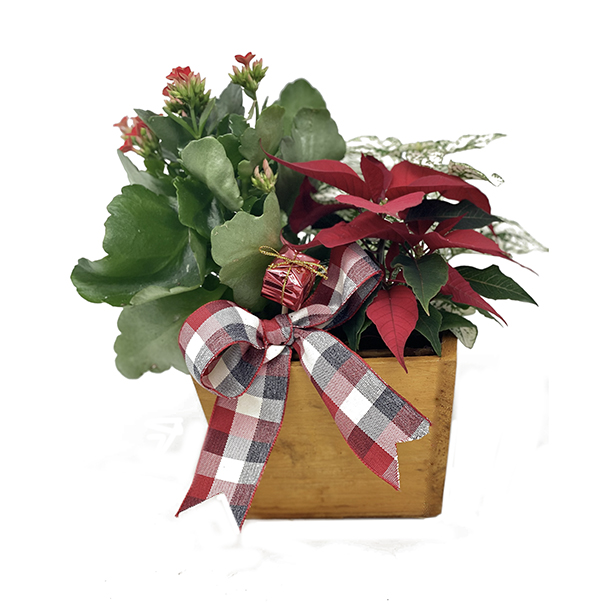 Arrangement panier en bois - format petit 24,99$