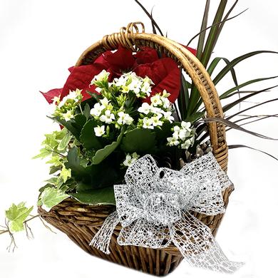 Panier en osier de Noël 39.99$