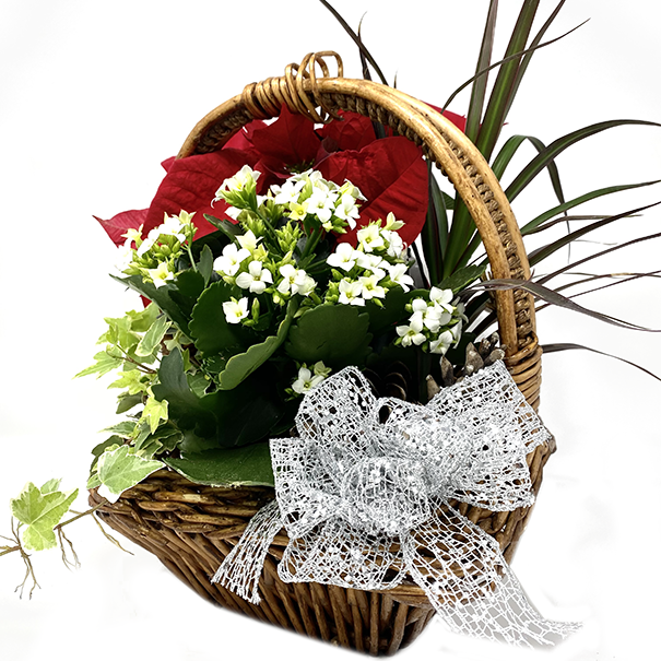 Panier en osier de Noël petit format 34.99$