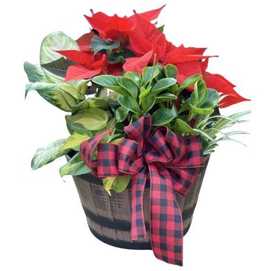 Christmas arrangement in large pot barrel