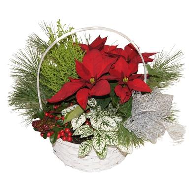 Christmas arrangement / wicker basket