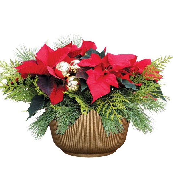 Arrangement de Noël / Panier en osier / 39.99$